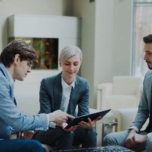 A consultant presenting to two clients